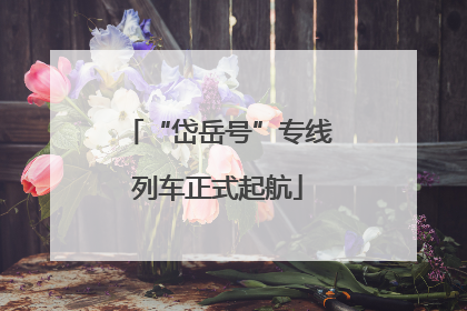 “岱岳号”专线列车正式起航